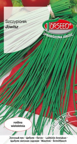 Szczypiorek Jowisz.jpg