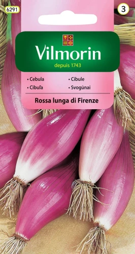 cebula-rossa-lunga-di-firenze.webp