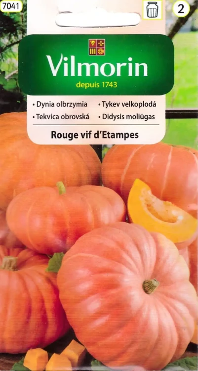 dynia-rouge-vif-detampes.webp