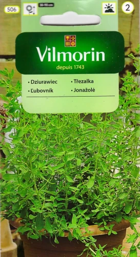 dziurawiec.webp