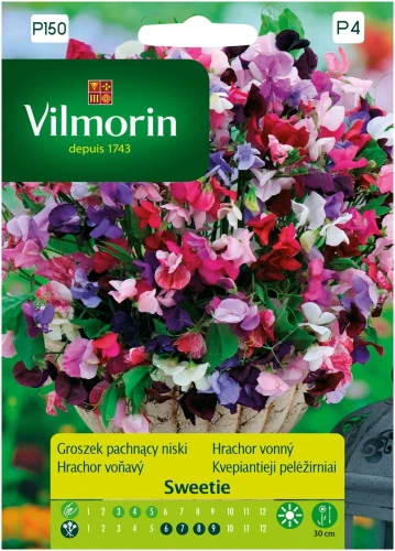 groszek-pachnący-niski.webp