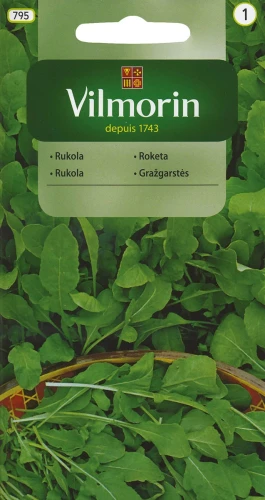 rukola.webp
