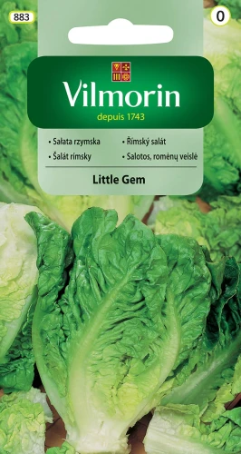 sałata-little-gem.webp