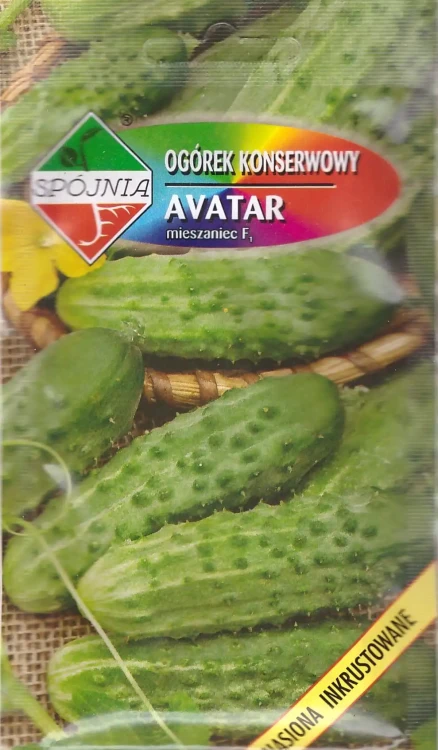 ogórek-avatar.webp