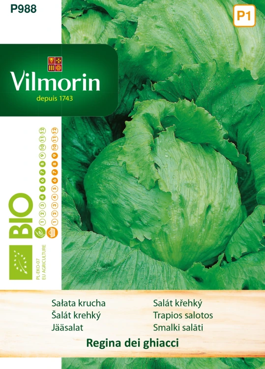 salata-regina-dei-ghiacci.jpg