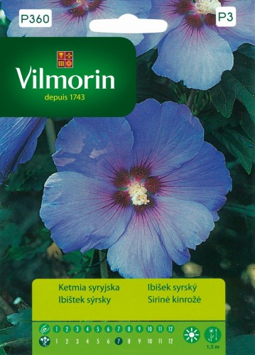 ketmia-syryjska.jpg