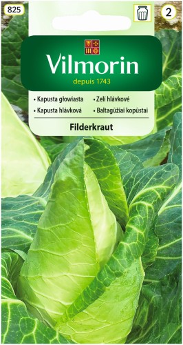kapusta-filderkraut.jpg