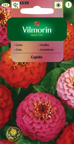 cynia-cupido.jpg