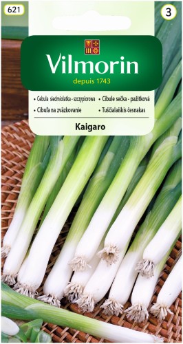 cebula-kaigaro.jpg