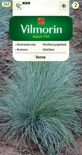 kostrzewa-varna.jpg