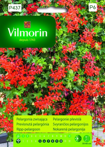 pelargonia-zwisajaca-czerwona.jpg