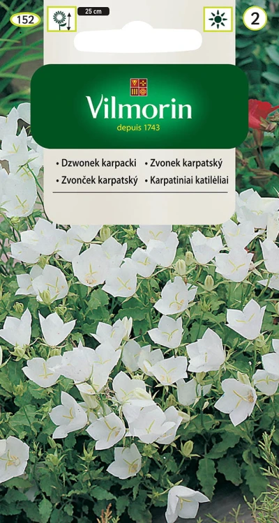 dzwonek-karpacki-bialy.jpg