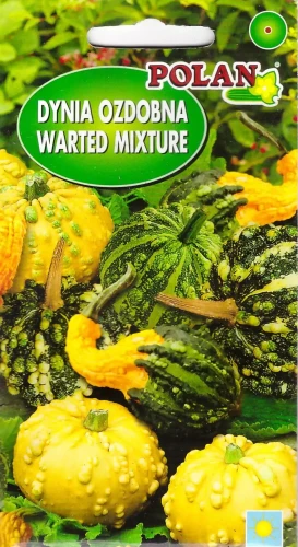 dynia-ozdobna-warted-mixture.webp