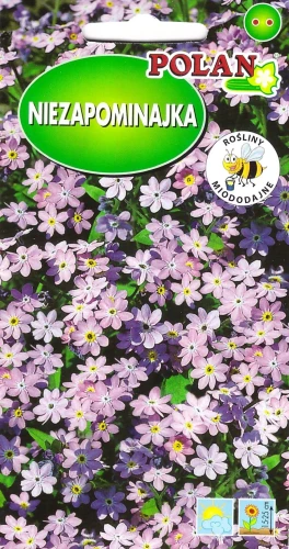 niezapominajka-różowa.webp