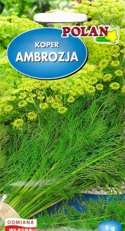 koper-ambrozja.webp