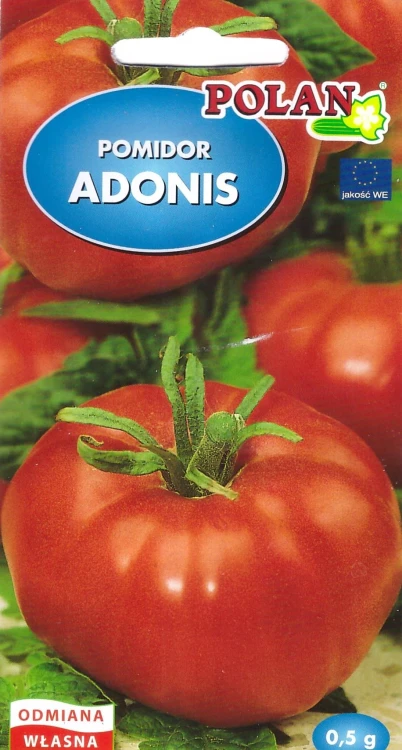 pomidor-adonis.webp