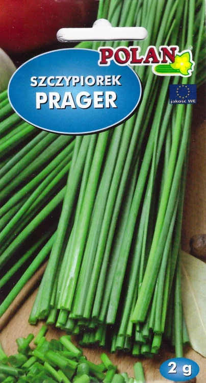szczypiorek-prager.webp