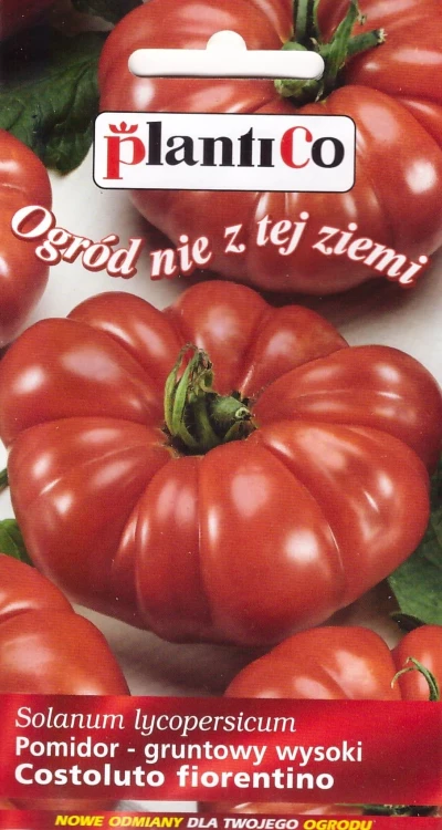 pomidor-costoluto-fiorentino.webp