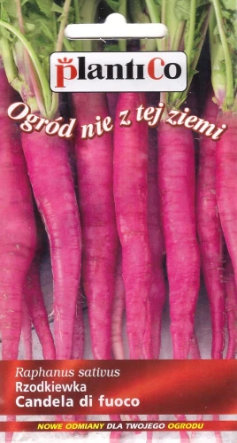 rzodkiewka-candela-di-fuoco.webp