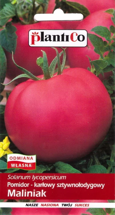 pomidor-maliniak.webp