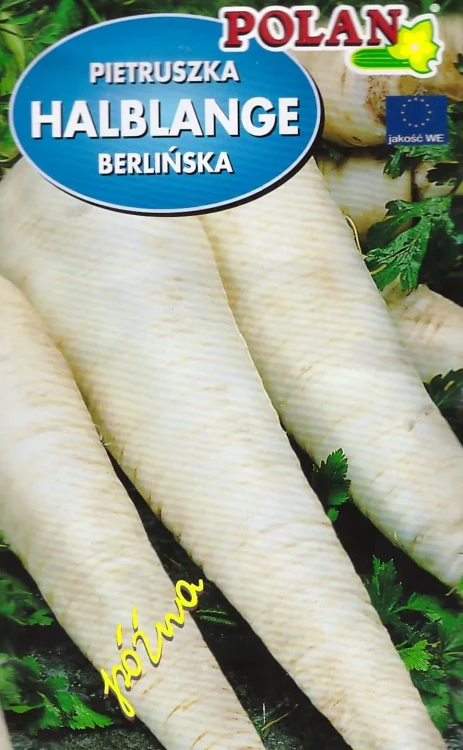 pietruszka-halblange-berlińska.webp