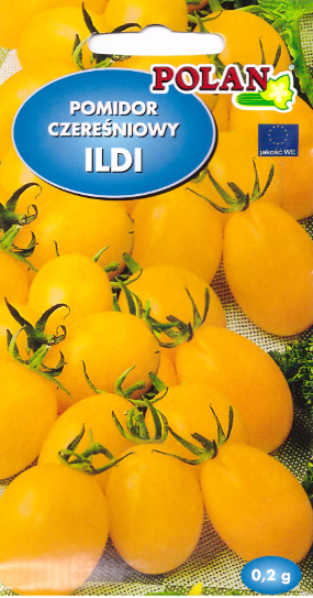 pomidor-ildi.webp