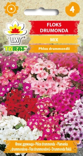 Floks-Drumonda-Mieszanka.webp