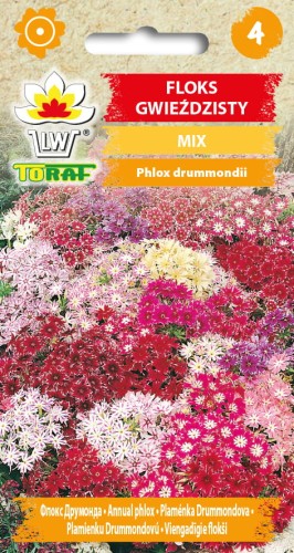 Floks-Gwieździsty-MIX.jpg