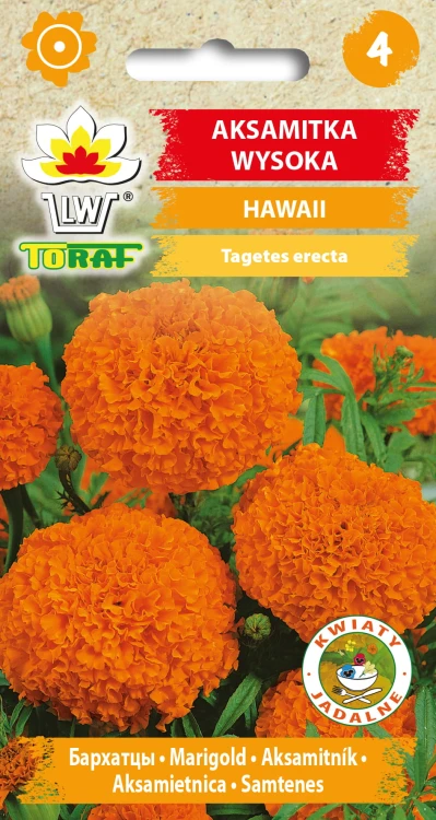 Aksamitka-wysoka-HAWAII.jpg
