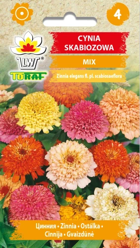 cynia-skabiozowa-MIX-.webp