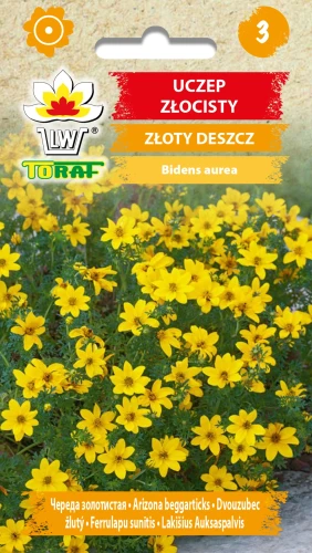 Uczep-złocisty.webp