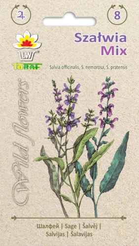 Wild-flowers-Szałwia-MIX.webp