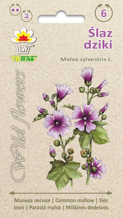 Wild-flowers-Ślaz-dziki.webp