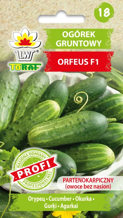 Ogórek-ORFEUS.webp