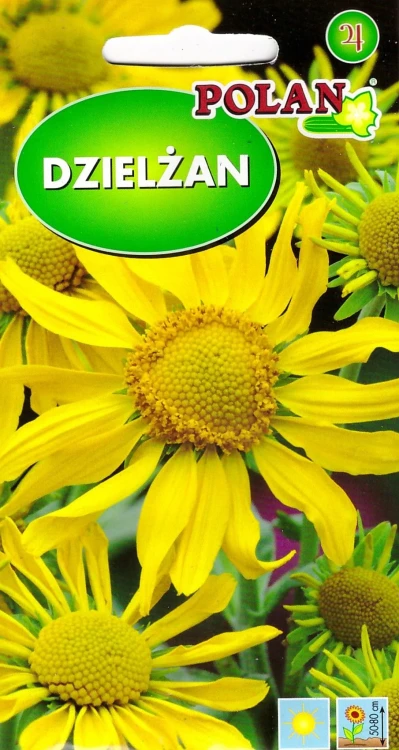 dzielżan-hoopesii.webp