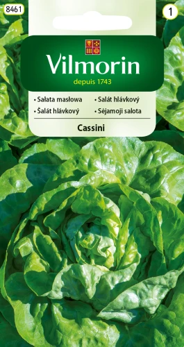 sałata-cassini.webp