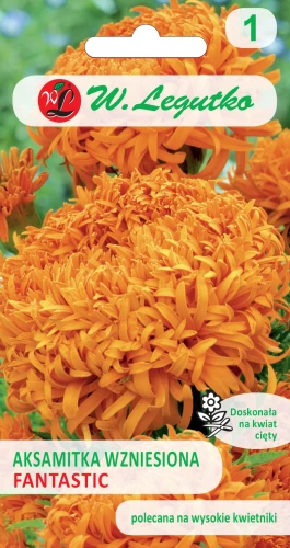 Aksamitka-wzniesiona-Fantastic-pomarańczowa.webp