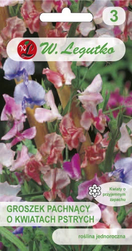 Groszek-pachnący-o-kwiatach-pstrych.webp