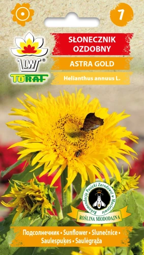 Słonecznik-ASTRA-GOLD.webp