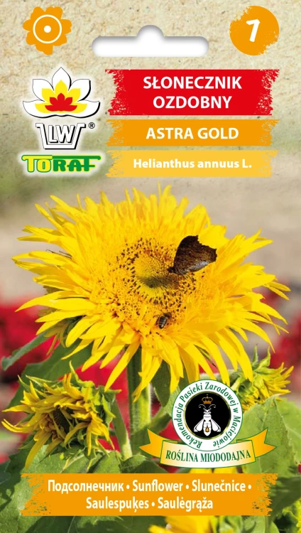 Słonecznik-ASTRA-GOLD.webp