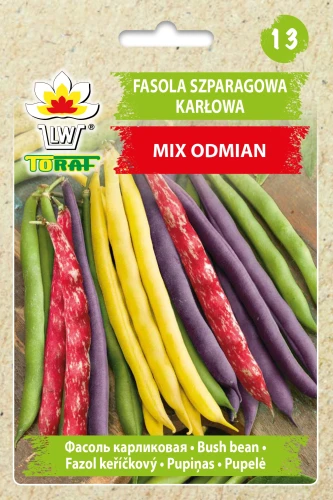 Fasola-szparagowa-karłowa-MIX-odmian.webp