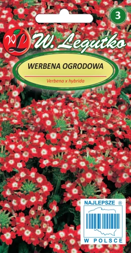 Werbena-ogrodowa-czerwona-z-bialym-oczkiem.webp