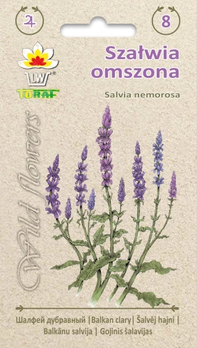 Wildfrower-Szałwia-omszona.webp