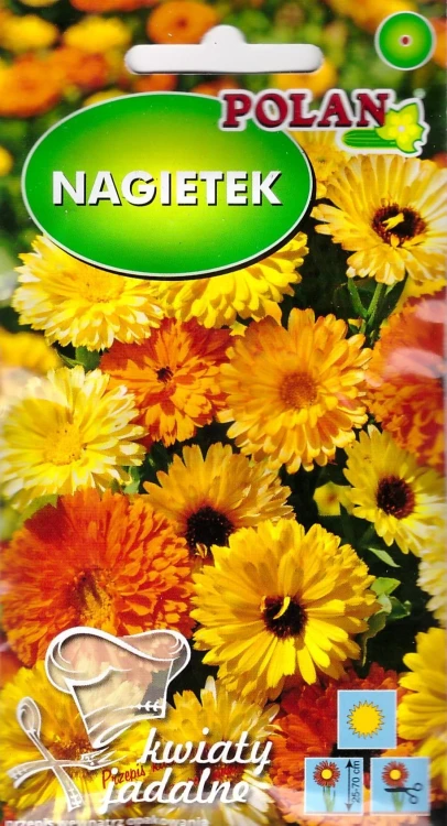 nagietek-lekarski.webp