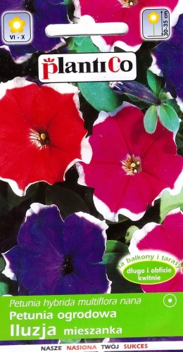 petunia-iluzja-mieszanka.webp