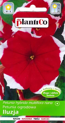 petunia-iluzja-czerwona.webp