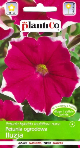 petunia-iluzja-różowa.webp