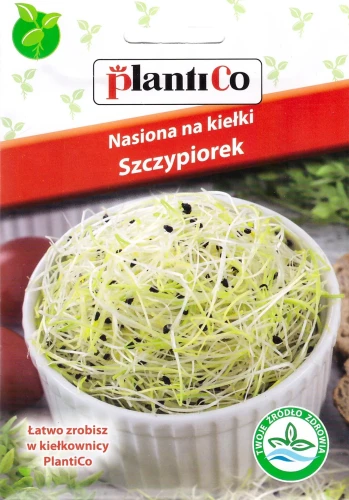 szczypiorek-na-kiełki.webp