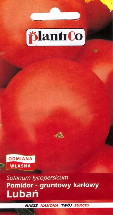 pomidor-lubań.webp