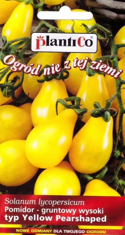 pomidor-yellow-pearshaped.webp